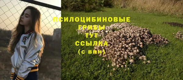 прущие крисы Рославль