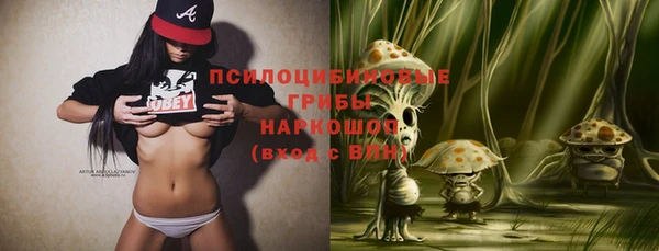 прущие крисы Рославль