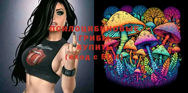 ешки Россошь