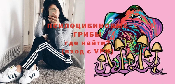 прущие крисы Рославль