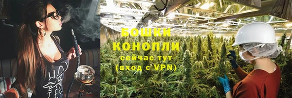 прущие крисы Рославль