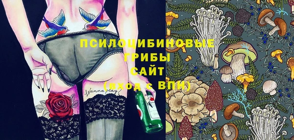 ешки Россошь